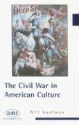 The Civil War in American Culture (Baas Paperbacks)