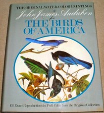 Original Water Color Paintings By John James Audubon For Birds Of America
