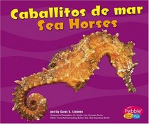 Caballitos de mar / Sea Horses (Bajo Las Olas/Under the Sea series) (Bajo Las Olas/Under the Sea)