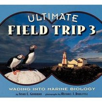 Ultimate field trip 3: Wading into marine biology