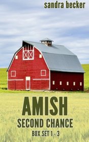 Amish Second Chance