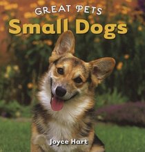 Small Dogs (Great Pets)