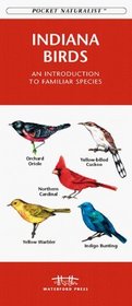 Indiana Birds: An Introduction to Familiar Species (Pocket Naturalist)