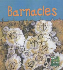 Read and Learn: Sea Life - Barnacles (Read & Learn) (Read & Learn)