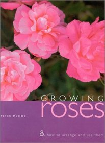 Growing Roses and How to Use and Arrange Them