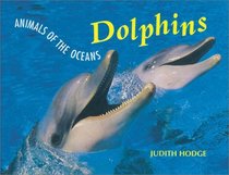 Animals of the Ocean - Dolphins