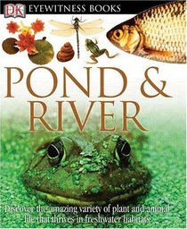 Pond & River (DK Eyewitness)