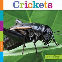 Crickets (Seedlings)