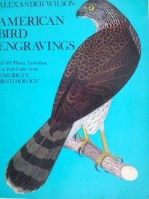 American Bird Engravings