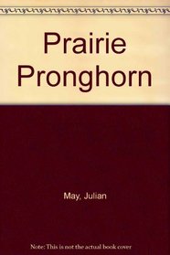Prairie Pronghorn