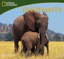 Elephants - 2010 National Geographic Wall Calendar