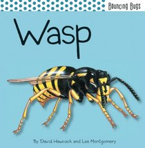Wasp (Bouncing Bugs)