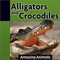 Alligators and Crocodiles (Amazing Animals Series)