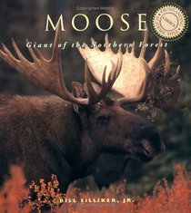 Moose: Giants of the Northern Forest