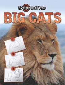 Big Cats: Drawing and Reading (Explore & Draw)
