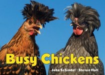 Busy Chickens (A Busy Book)