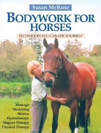 Bodywork for Horses: Techniques You Can Use Yourself