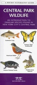 Central Park Wildlife: An Introduction to Familiar Species of birds, mammals, reptiles, amphibians, fishes and butterflies in New York City's Central Park (Pocket Naturalist - Waterford Press)