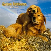 Golden Retrievers 2008 Square Wall Calendar (German, French, Spanish and English Edition)