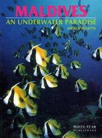 Maldives : An Underwater Paradise