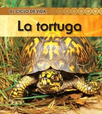 La tortuga (Turtle) (El Ciclo De Vida / Life Cycle of a. . .) (Spanish Edition)
