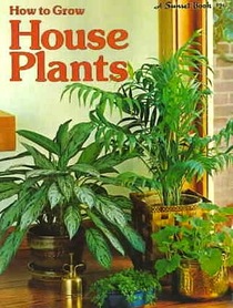 How to grow house plants