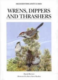 Wrens, Dippers and Thrashers (Helm Identification Guides)