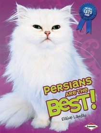 Persians Are the Best! (The Best Cats Ever)