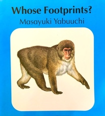 Whose footprints? (Macmillan/McGraw-Hill reading/language arts)