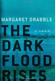 The Dark Flood Rises: A Novel