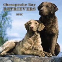 Chesapeake Bay Retrievers 2005 Wall Calendar