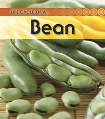 Bean: 2nd Edition (Life Cycle of a)