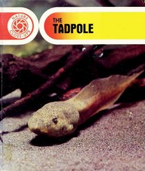 The Tadpole (Nature Close-Ups Series)