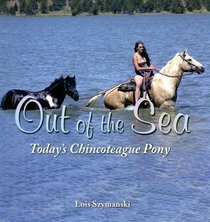 Out Of The Sea: Today's Chincoteague Pony