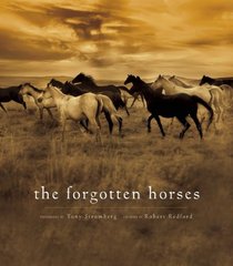 The Forgotten Horses