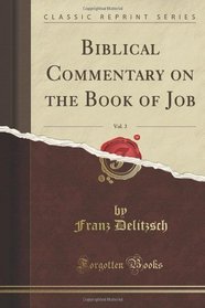 Biblical Commentary on the Book of Job, Vol. 2 of 2 (Classic Reprint)