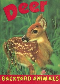Deer (Backyard Animals)