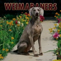 Weimaraners 2005 Wall Calendar