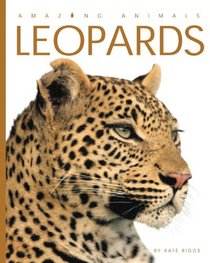 Amazing Animals: Leopards