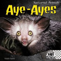 Aye-Ayes (Nocturnal Animals)