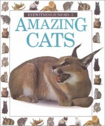 Amazing Cats (Eyewitness Juniors)
