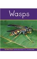 Wasps (Pebble Books)