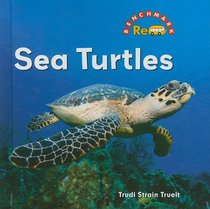 Sea Turtles (Benchmark Rebus)