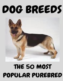 The 50 most popular purebred dog breeds: Dog dreeds