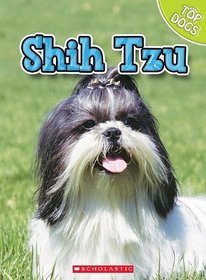 Shih Tzu (Top Dogs)