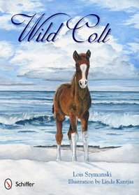 Wild Colt (Wildlife Identification Guide)
