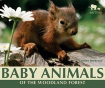 Baby Animals of the Woodland Forest (Nature's Baby Animals)