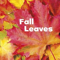 Fall Leaves (Celebrate Fall)