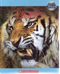 Tigers - Nature's Children