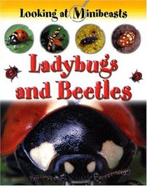 Ladybugs and Beetles (Looking at Minibeasts)